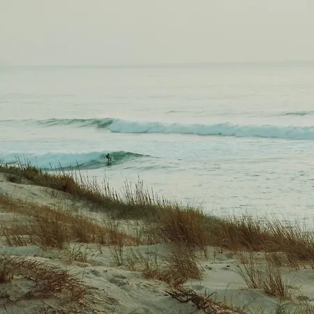 Lejlighed Renove Seignosse, A 2 Min De La Plage, Balcon Sud, Proche Commerces Et Parc Aquatique - Fr-1-239-871 Seignosse